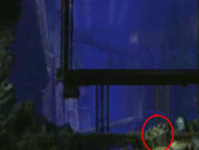 the secret area is marked with a red O - Callum Sanderson