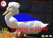 Hidden message