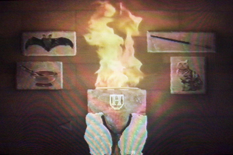 transfiguration harry potter. Harry Potter: Special Edition