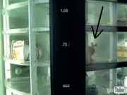 Blurry Due To YouTube Screen Cap