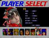 Honey in one of her costumes from Sonic Fighters, only been half created though