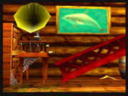 Dolphin picture in Donkey Kongs house.