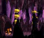 1 gold rhino, 2 gold rhino, 3 gold rhino, bonus!