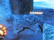 The Schrödingers cat