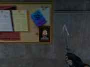 his is a photo of the woman with eggs in the eyes.