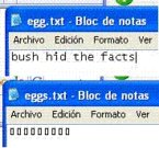 Bush hid my text